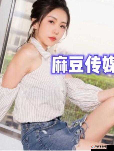 麻豆精品麻花传是什么？为何它能引发如此多的关注与热议？