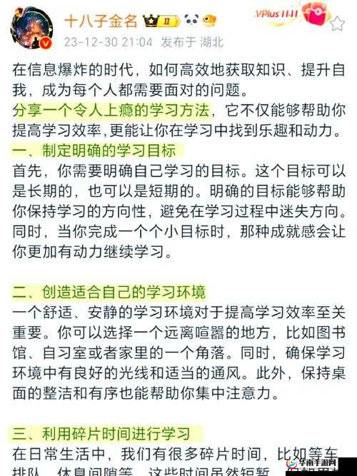 张婉莹5196暑假作业全解析：高效学习方法与实用技巧分享