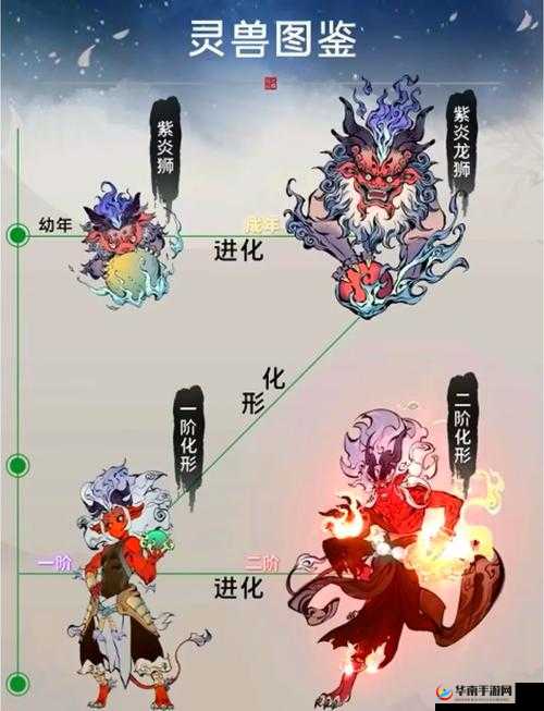 山海异闻录中，如何挑选最适合自己的灵兽进行培养呢？