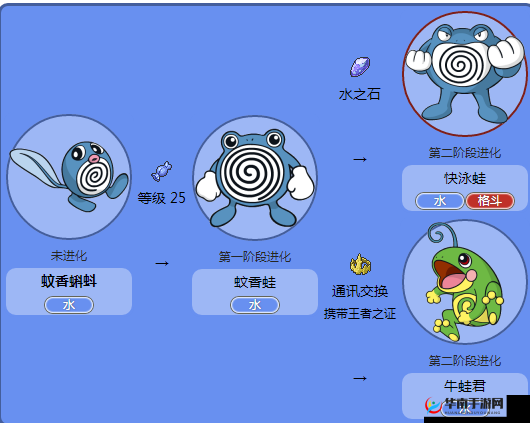 能量起源宠物小百科揭秘，蚊香蝌蚪的独特之处究竟是什么？