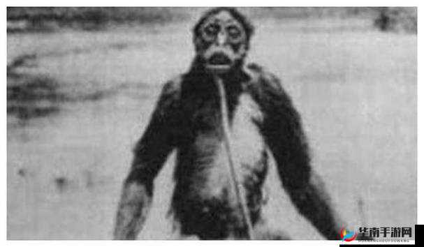 山里人家天送三兄弟：探秘深山奇人，揭开他们的神秘面纱