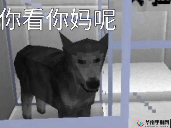 如何在生存战争中逃脱动物追击？掌握技巧并提前做好准备是关键吗？