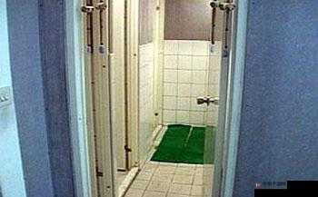 日本偷窥狂在浴室中偷拍女性，是否应该受到法律制裁？