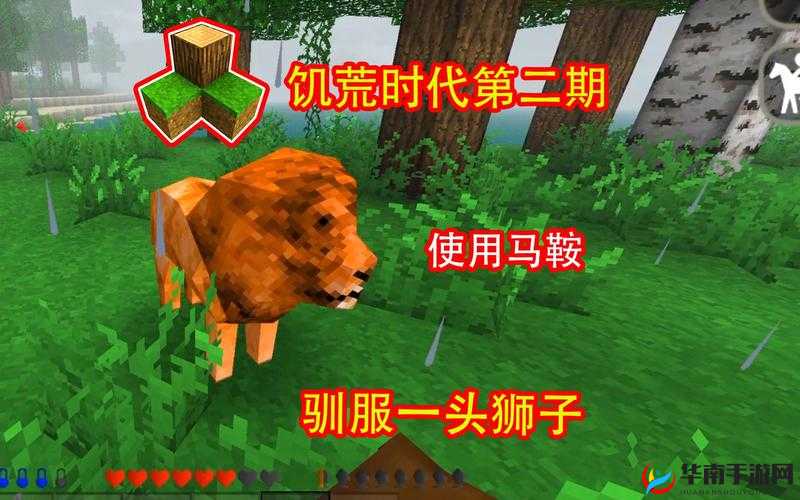 如何在生存战争中成功驯服难以驯化的狮子，秘诀何在？