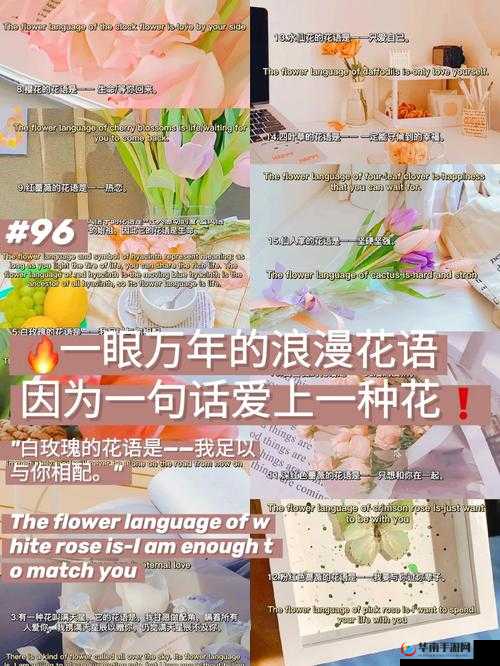 大话许仙中的浪漫花语有何深意？好友赠花背后隐藏哪些秘密？