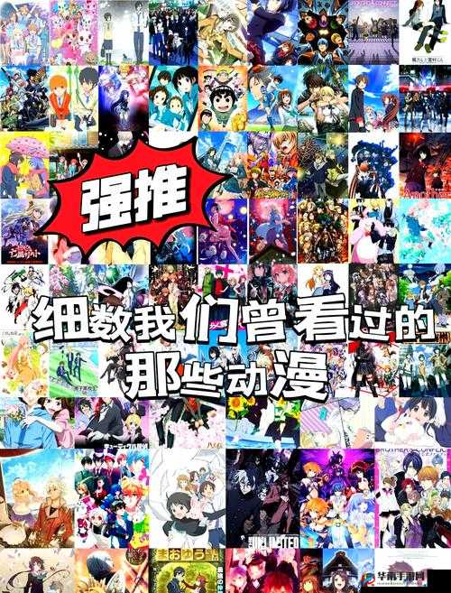 樱花动漫-专注动漫怎么样？有哪些特色和优势？为何深受动漫迷喜爱？