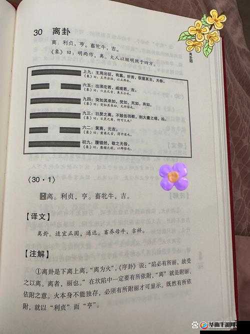 离卦之谜，有仙气八卦玩法中，其底层逻辑与操作映射究竟如何深度剖析？