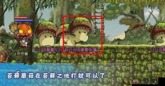 如何巧妙通关冒险王3D蘑菇王国副本，隐藏技巧大揭秘？