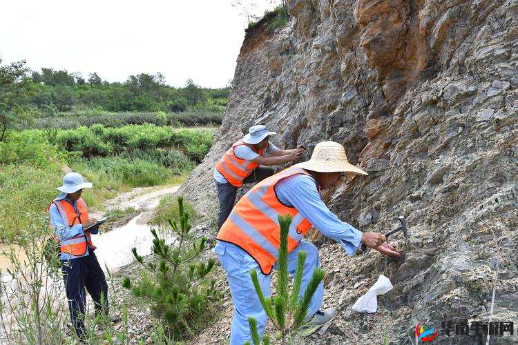 大地资源中文在线 8 月 28 日更新，这些内容你需要知道