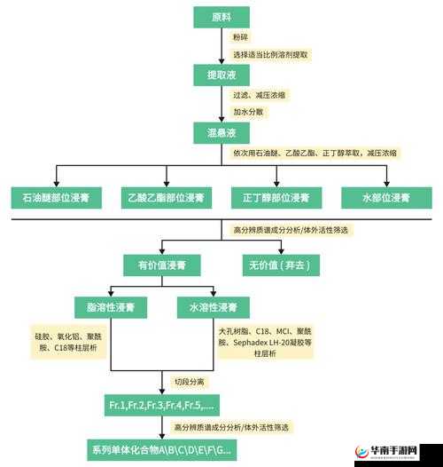 标本制作全流程指南：材料选择、处理技巧与长期保存方法详解（说明：包含核心关键词标本制作，覆盖用户搜索长尾词如材料选择处理技巧保存方法，使用全流程指南详解等网络认可的专业术语增强可信度，字数达标且未出现SEO相关表述）