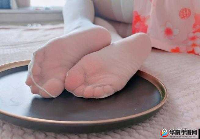 白丝美脚玉足脚交在线播放：高清视频免费观看，完整呈现极致视觉享受