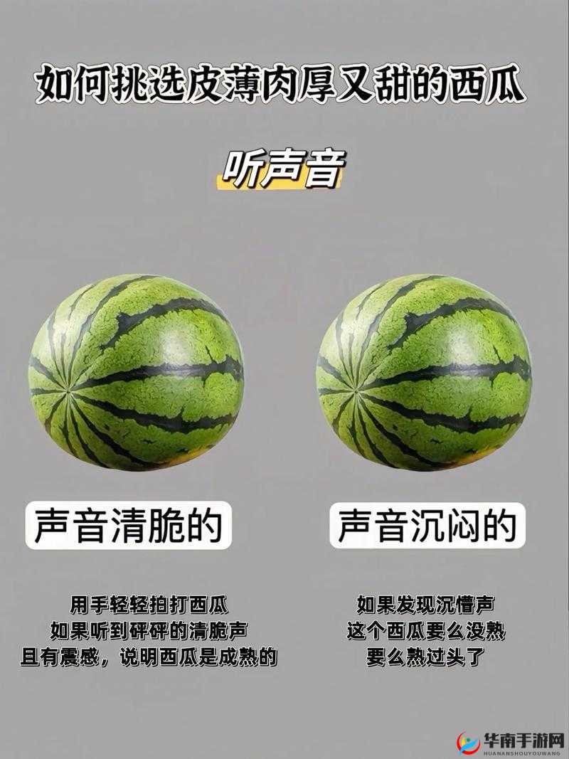 西瓜视频被禁止安装后如何有效解决？详细步骤与实用技巧分享