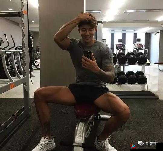 肌肉猛男为何会成为理想型男友？深度剖析其魅力所在与受欢迎原因