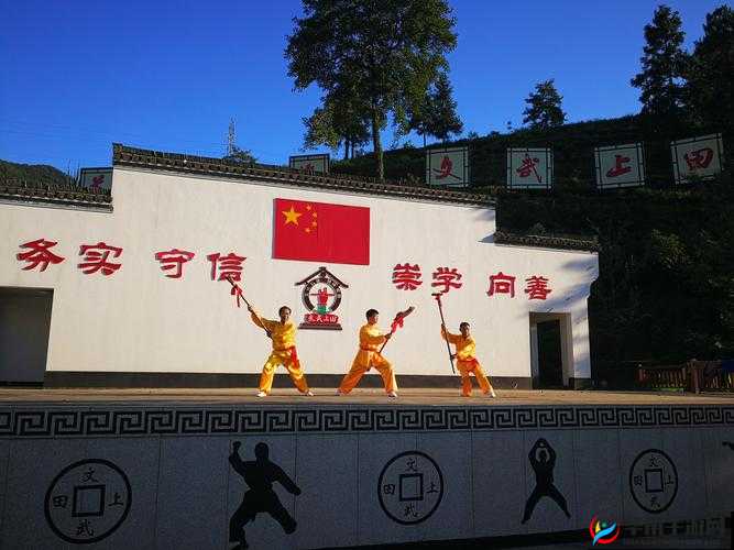 卫老村里德高望重的长者如何影响乡村文化传承与发展？