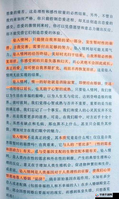 免费爱情路线测试：探索你的真爱之路，揭示你的感情命运与未来走向