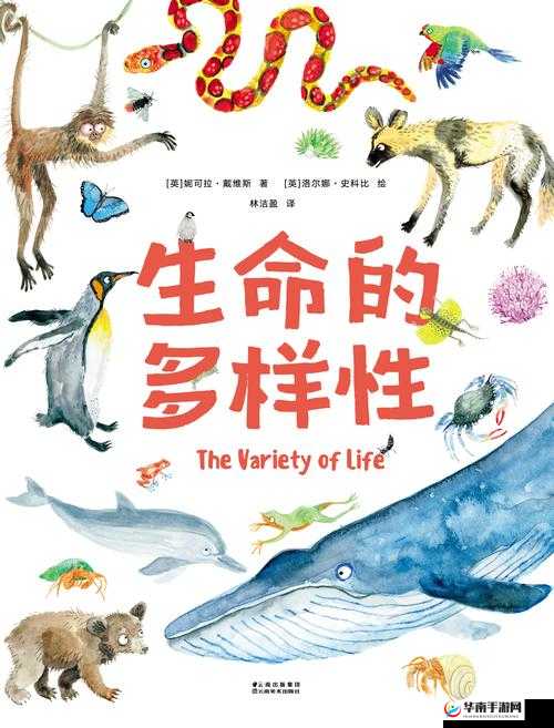 女人 ZOZ8 人 c 交 18：探索性行为的多样性与安全性