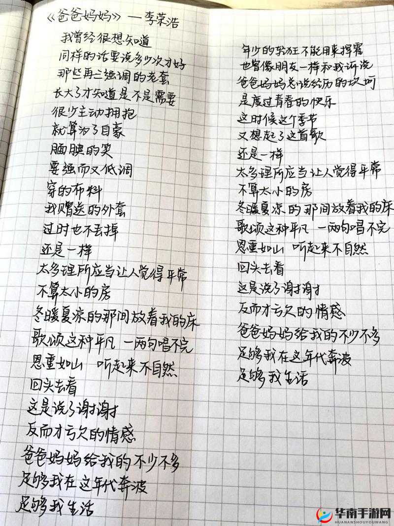 爸放手我是你媳妇歌词深度解析，为何这句歌词能引发广泛关注？