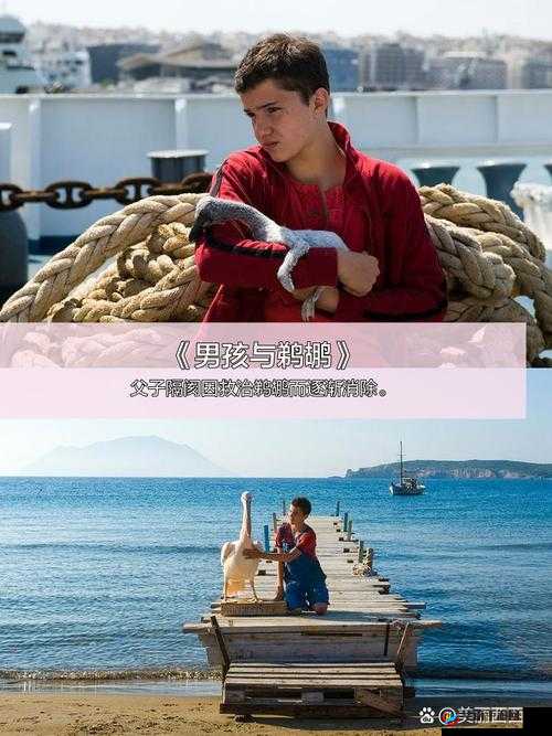 空中宝贝 2 法国版剧情简介：讲述了一个关于爱情、友情和成长的故事女主角艾丽在经历了一系列挫折后，逐渐明白了自己的内心想法，最终找到了属于自己的幸福