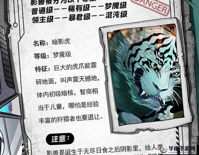 影刃传说坐骑系统如何历经演变？揭秘其传奇发展历程的悬念