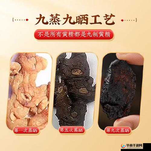 如何制作国精产品 999 久？国精产品 999 久的制作方法是什么？国精产品 999 久的制作过程是怎样的？