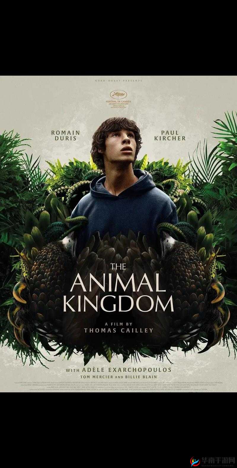 人物动物高清在线观看定档：最新热门影片抢先看，高清画质畅享视觉盛宴