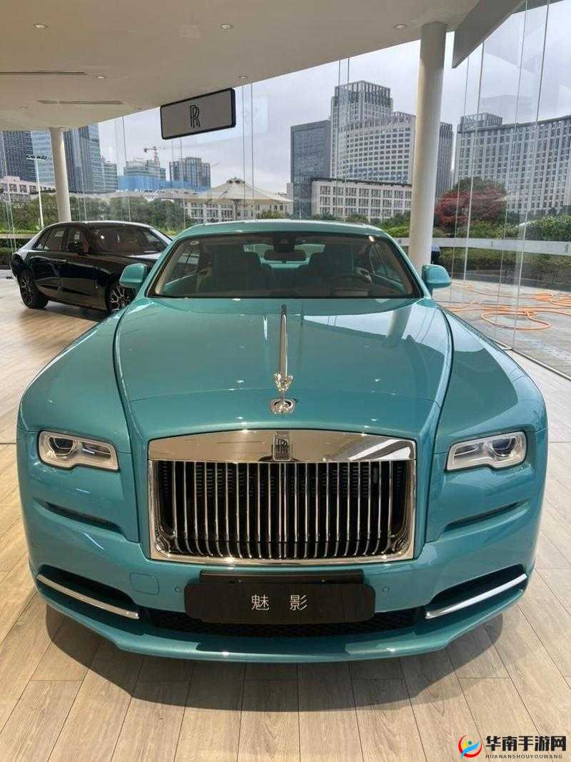 魅影大秀 极速版究竟有何独特魅力？为何能吸引众人目光？