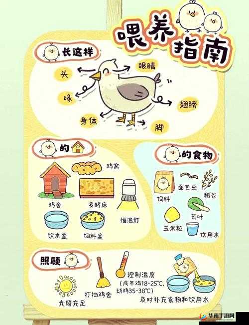 吃鸡吃一半软了，到底是何原因？快来一探究竟吃鸡吃一半软了怎么回事？是食材问题还是烹饪手法不对？令人困惑吃鸡吃一半软了，究竟是哪里出了差错？