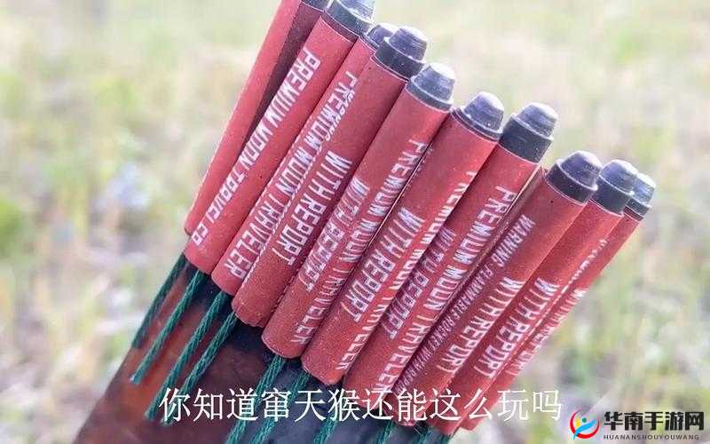 窜天猴网最新版本更新，你想知道有哪些惊喜吗？