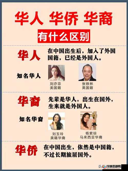 海外华人永久皇冠是什么？为何备受关注？其背后的意义与价值何在？