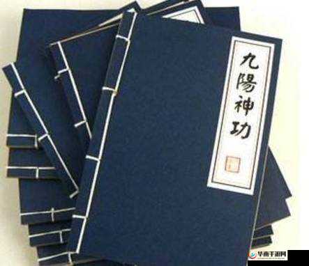 逍遥吟心法如何选择？揭秘九阳神功的奥义之旅有何惊喜？