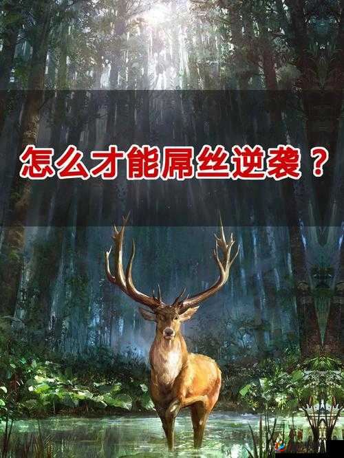 你好三国地下城解说，屌丝如何速逆袭？揭秘逆袭之路！