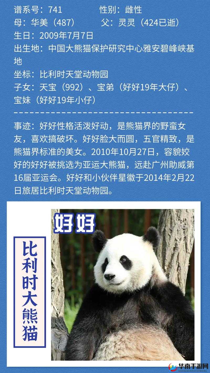 传说中的命运王座英雄究竟是谁？熊猫竟也位列其中？