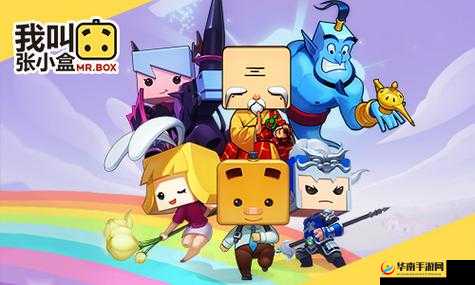 张小盒人物篇揭秘，黑骑盒与铠甲女神的传奇故事究竟如何交织？