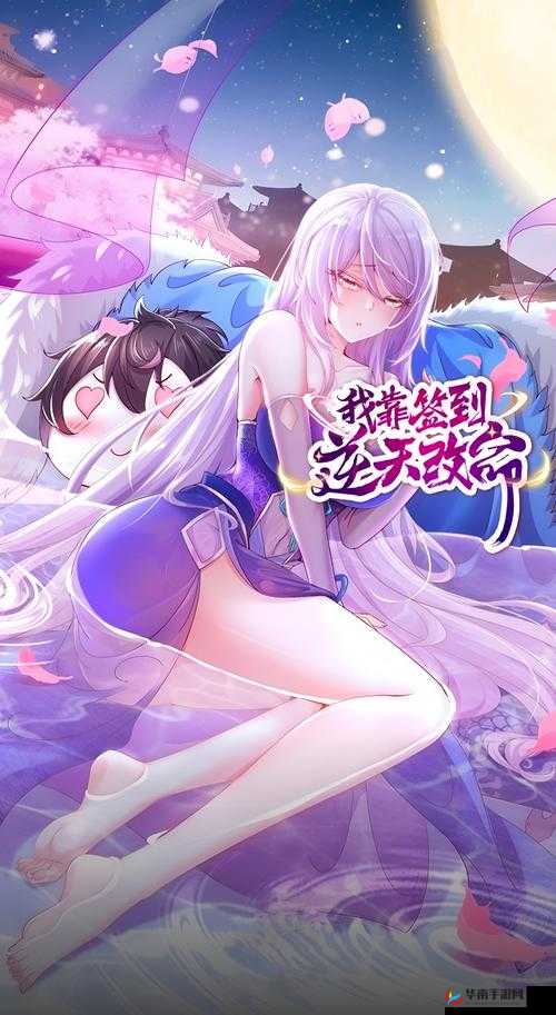 王女异闻录签到篇，如何巧妙进行资源管理，背后有何艺术之谜？