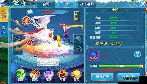 斗魂新手如何快速让骑宠变强？超强攻略揭秘制造悬念！