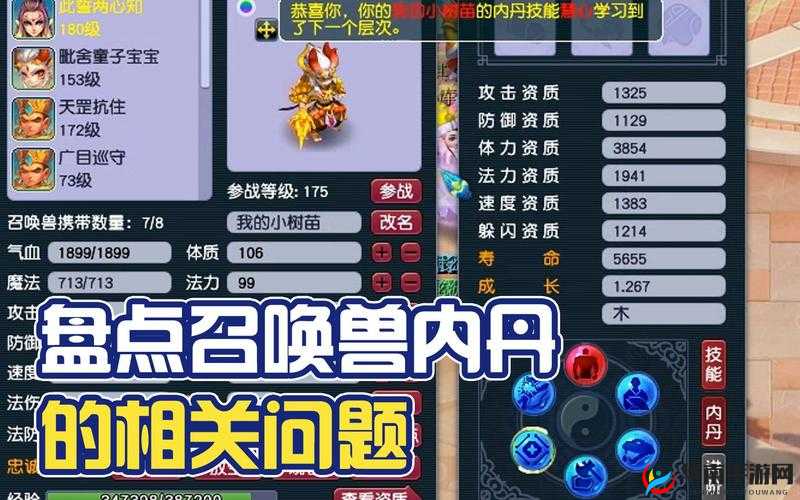 梦幻西游手游速宝宝内丹怎么选？这些心得能帮你制造惊喜吗？