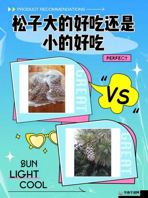 松鼠专属欢乐大星球，榛果孢子合成之旅究竟隐藏着什么秘密？