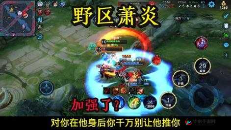 如何高效击败十七级野怪？全面解析十七级野怪击杀技巧