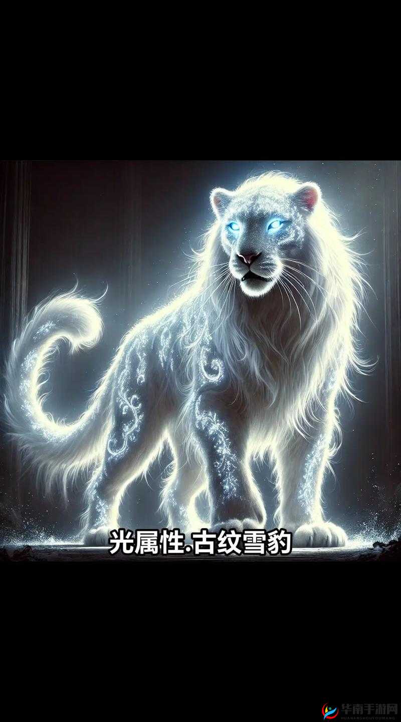 圣光之战士兵突击，兵营荣耀背后隐藏着哪些制胜策略？