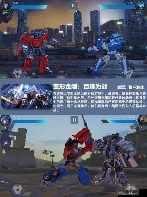 格斗家重生系统究竟如何深度解锁战斗新境界？