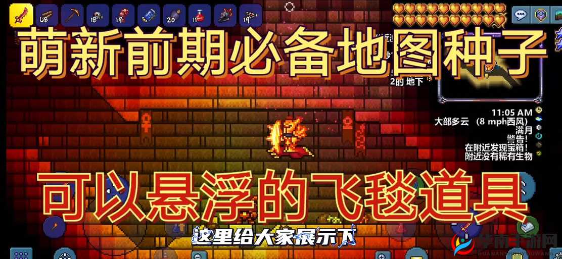 泰拉瑞亚飞毯如何获取？揭秘飞毯的获取技巧与神秘用途