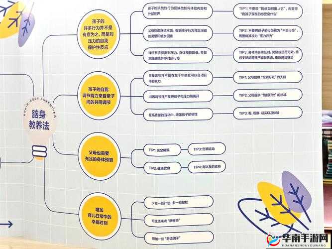 如何突破常规游戏思维，探索高度自由型思路带来的无限可能？