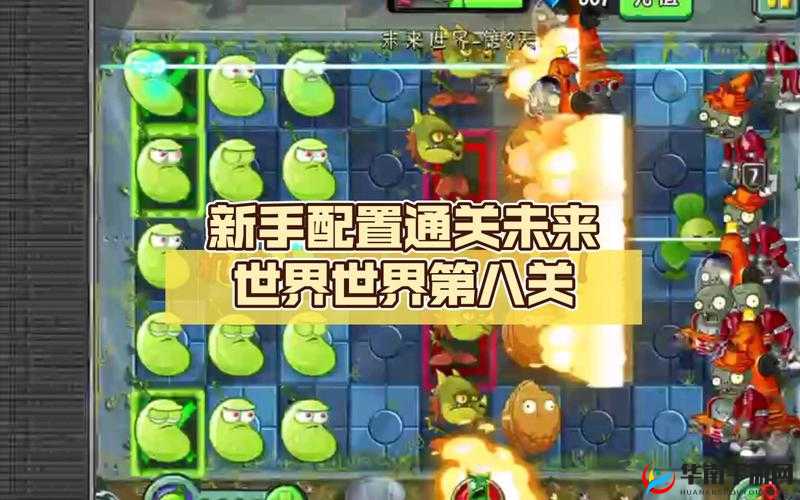 未来世界图文攻略揭秘，第8关隐藏通关技巧究竟是什么？