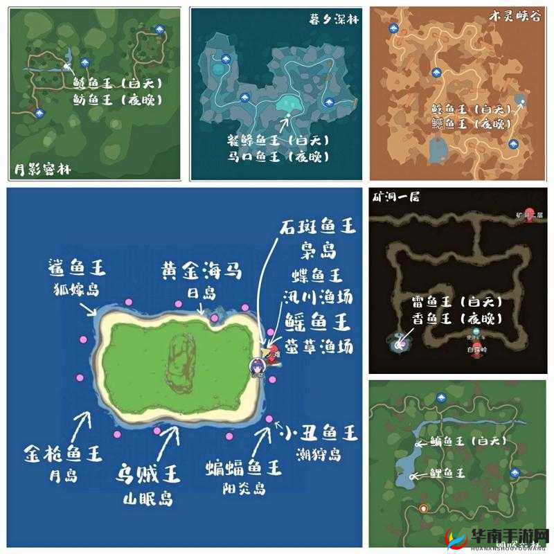 终极挑战小森生活全鱼类位置全解析，带你一网打尽所有稀有鱼种