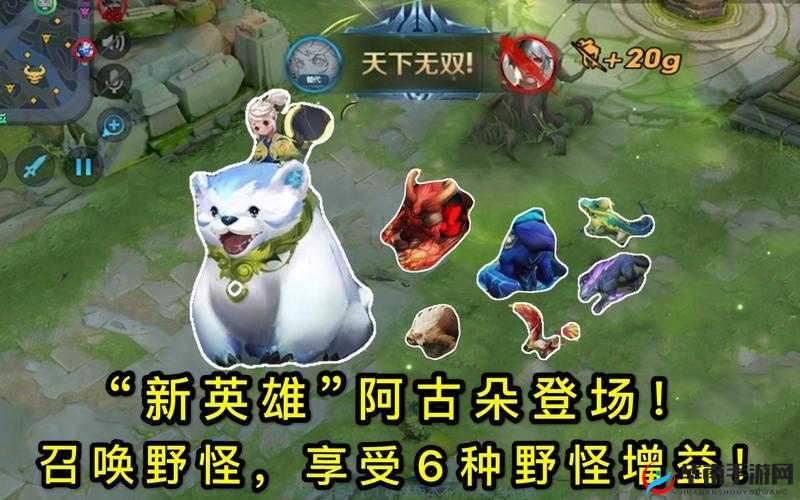 阿古朵逆天技巧大公开！这5招让你野王统治力翻倍🔥